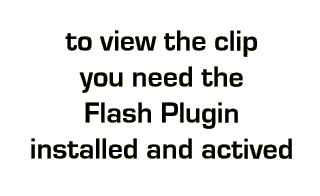 You need the Flash Plugin